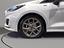 Immagine 7