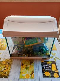 Acquario tetra