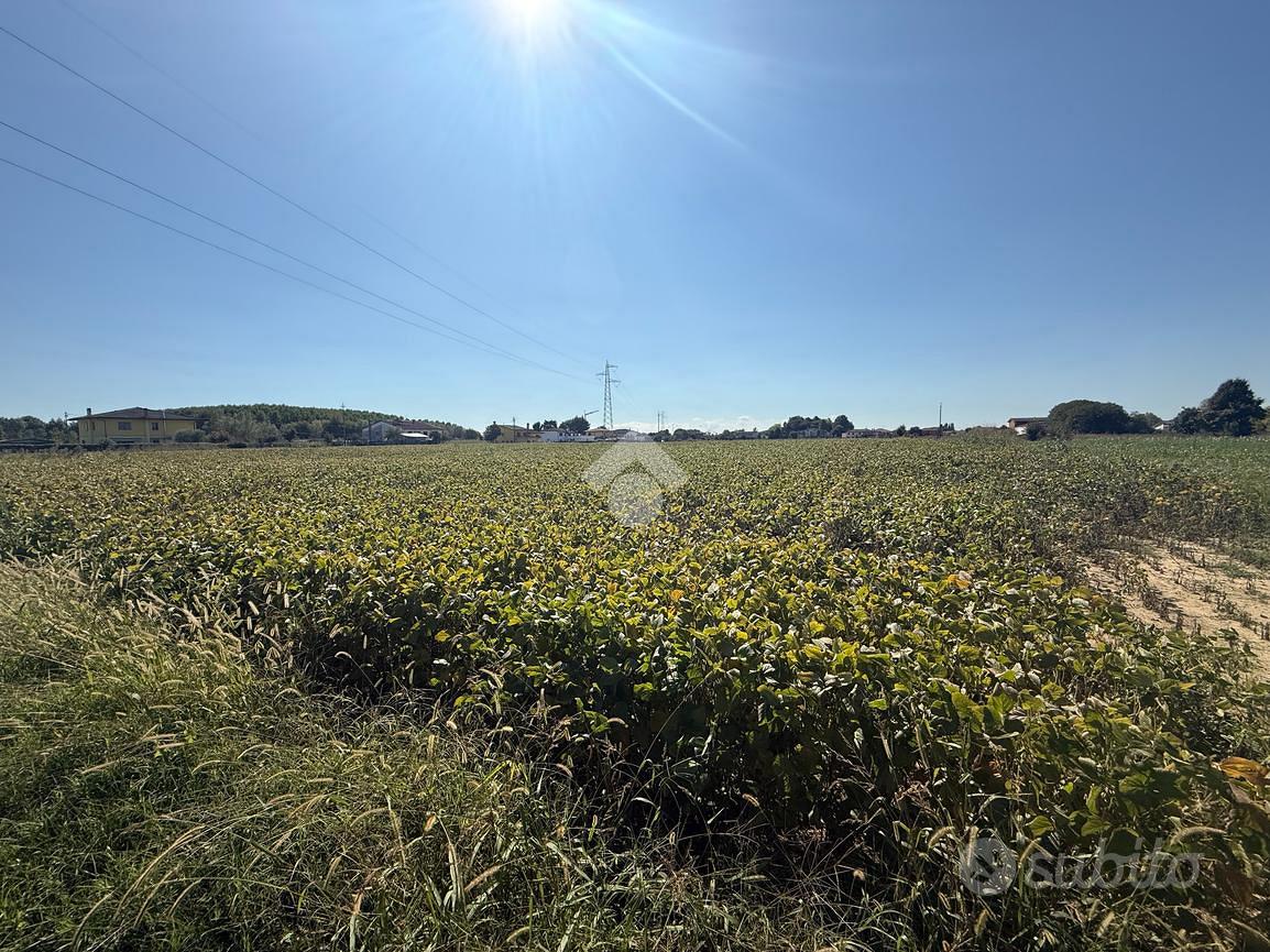 TER. AGRICOLO A BORGORICCO - Vista 5