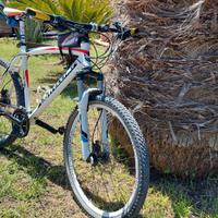 MTB Bottecchia FX 520