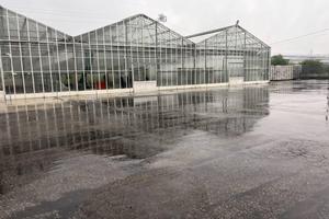 Immobile in asta di 38572 m² con più di 5 locali e