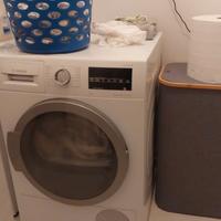 ascigatrice bosch serie 6