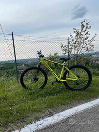 Bici da enduro