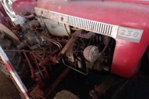 trattore carraro 230