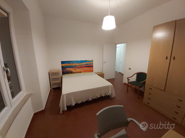 Camera singola a 20 mt dall'università di economia