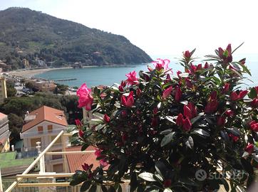 Splendido appartamento fronte mare con vista