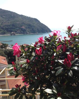 Splendido appartamento fronte mare con vista