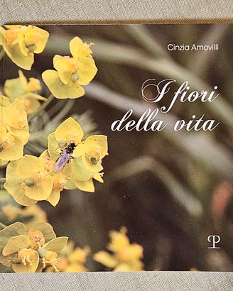 Stock libri