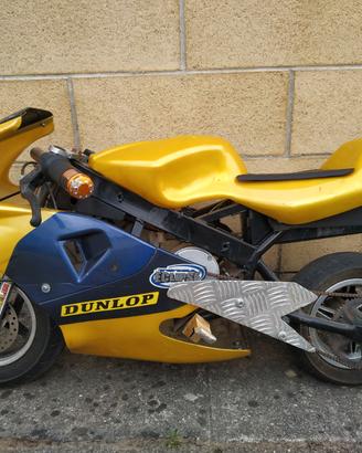 Minimoto _Elettrica