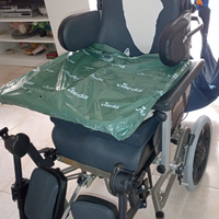 Sedia a rotelle + sollevatore elettrico(anche sep)