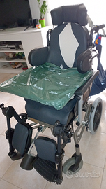 Sedia a rotelle + sollevatore elettrico(anche sep)