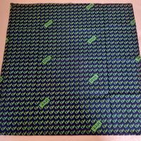 Bandana verde e blu Veet