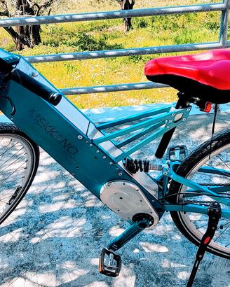 bicicletta elettrica mountain bike 
