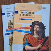 Coppia di libri di letteratura Francese