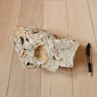 Pietra con fossili e cristallizzazioni (3kg)