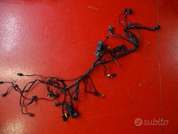 IMPIANTO ELETTRICO DUCATI MULTISTRADA 620 IE