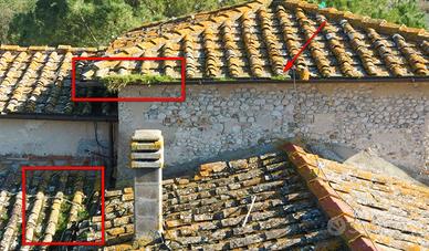 Ispezione Tetti/Piante con Drone Post Tempesta
