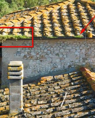 Ispezione Tetti/Piante con Drone Post Tempesta