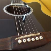 Chitarra Acustica Aria Elecord