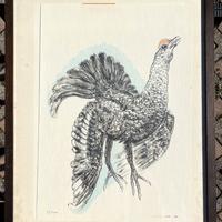 Stampe numerate soggetto uccelli