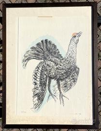 Stampe numerate soggetto uccelli