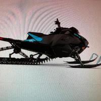 Motoslitta Catalyst 600