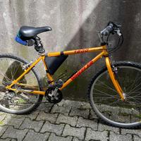 Bicicletta Mountain Bike Wheeler 1800