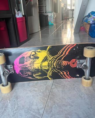 Skateboard  Cruiser Power Peralta Skull & Sword