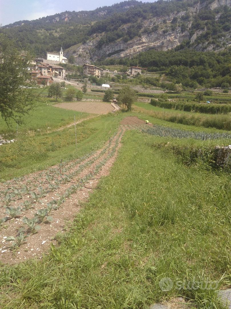 Terreno agricolo - Vista 4