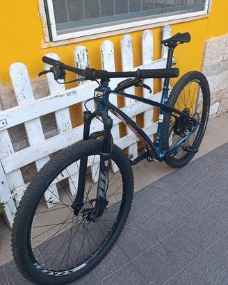 MTB Carbonio 