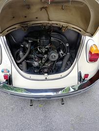 Volkswagen Maggiolino