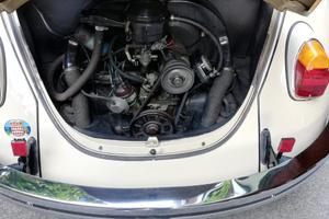 Volkswagen Maggiolino