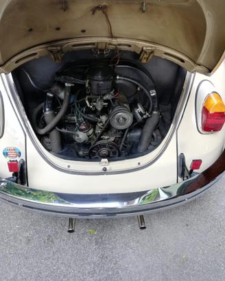 Volkswagen Maggiolino