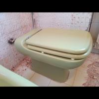 wc Ideal standard conca Verde usato