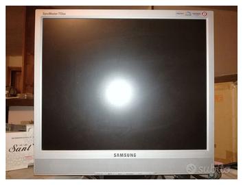 Samsung SyncMaster713BM (17Pollici)