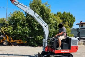 E247- Escavatore Baraldi 102/B