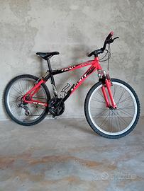 Bicicletta per ragazzo o ragazza