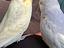 Immagine 5