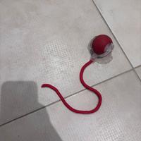 Palla per gatto che si muove da sola