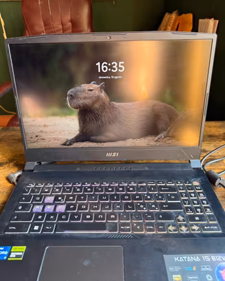MSI Katana 15 B12V – Gaming Laptop