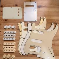 Fender battipenna e accessori