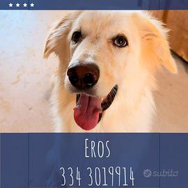 Eros: dolce e socievole