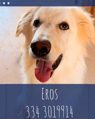 Eros: dolce e socievole