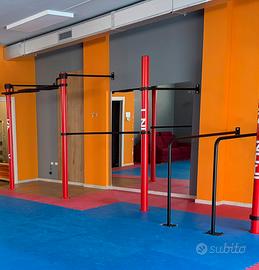 Struttura Calisthenics