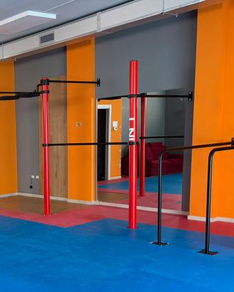 Struttura Calisthenics