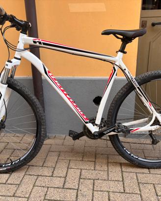 Mtb specialized XXL