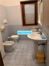 COLLEFERRO BILOCALE ARREDATO Con AMPIO BALCONE