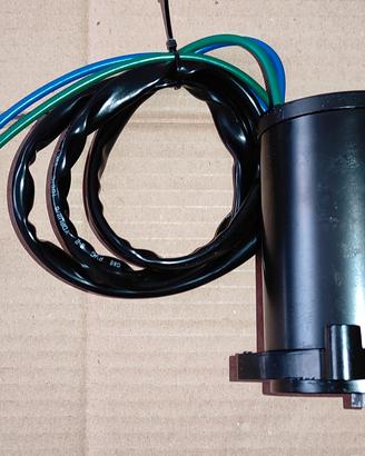 Motorino trim V6 Mercury 150/200 cv