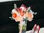 Immagine 26