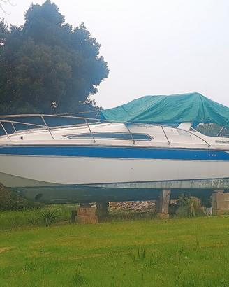 barca cabinata Thompson Santa Cruz 31 cruiser 